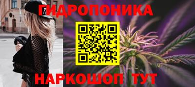 молекула духа Партизанск