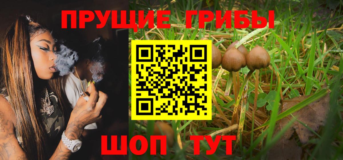 Галлюциногенные грибы GOLDEN TEACHER  Галлюциногенные грибы мухоморы  Россия  Вход с VPN 